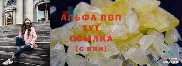 спиды Краснослободск