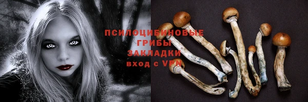 спиды Краснослободск